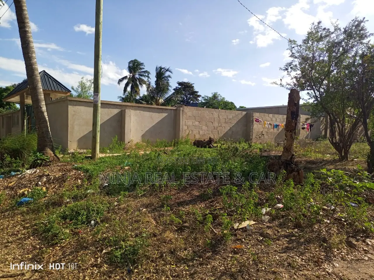 Eneo Linauzwa Kimara Korogwe Bei Nzuri Sana Na Eneo Ni Zuri