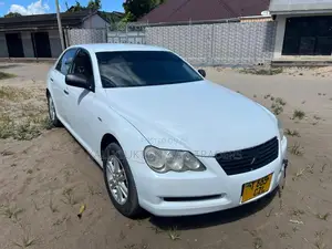 Toyota Mark X 2004 White