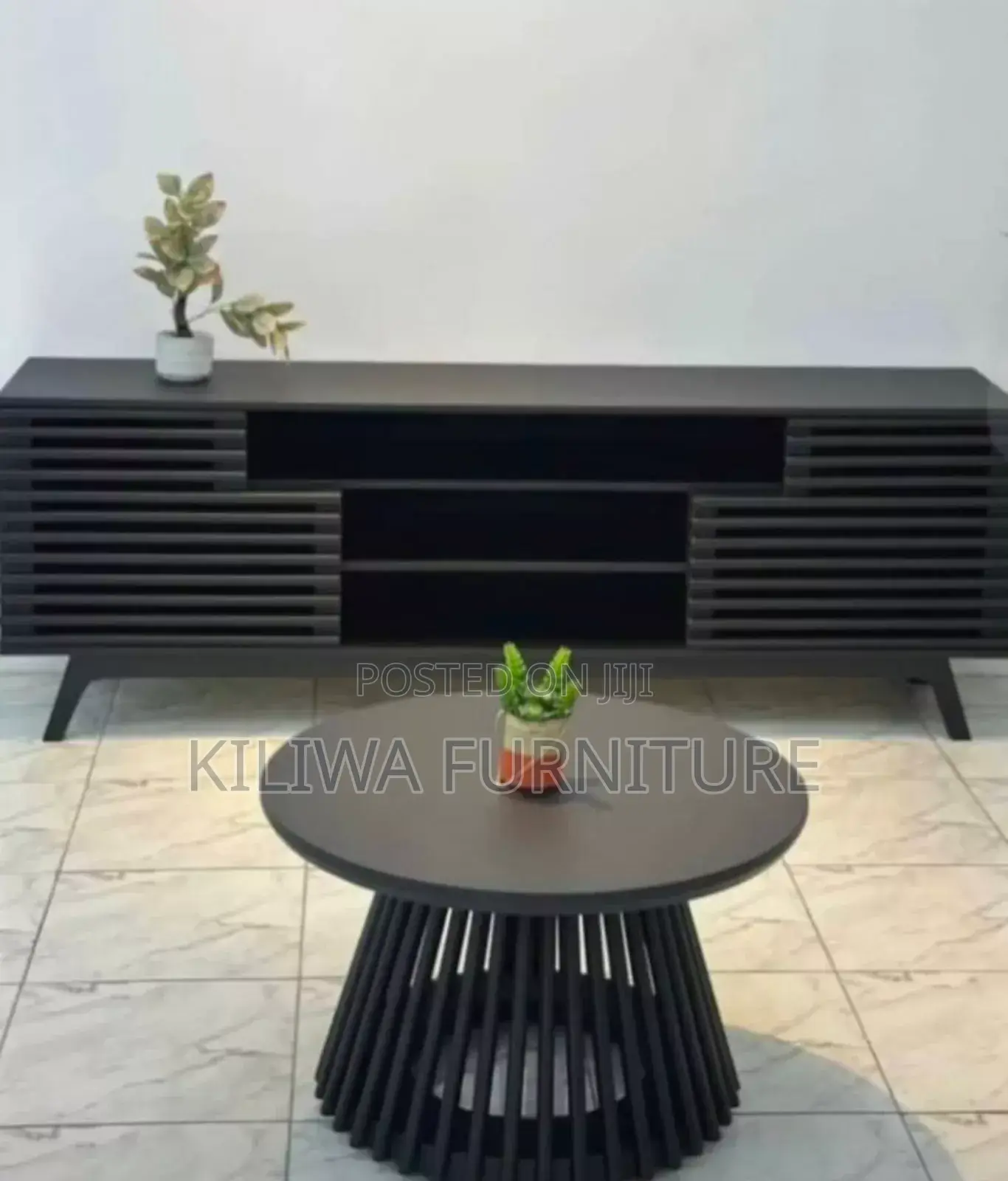 Tv Showcase and Coffee Table