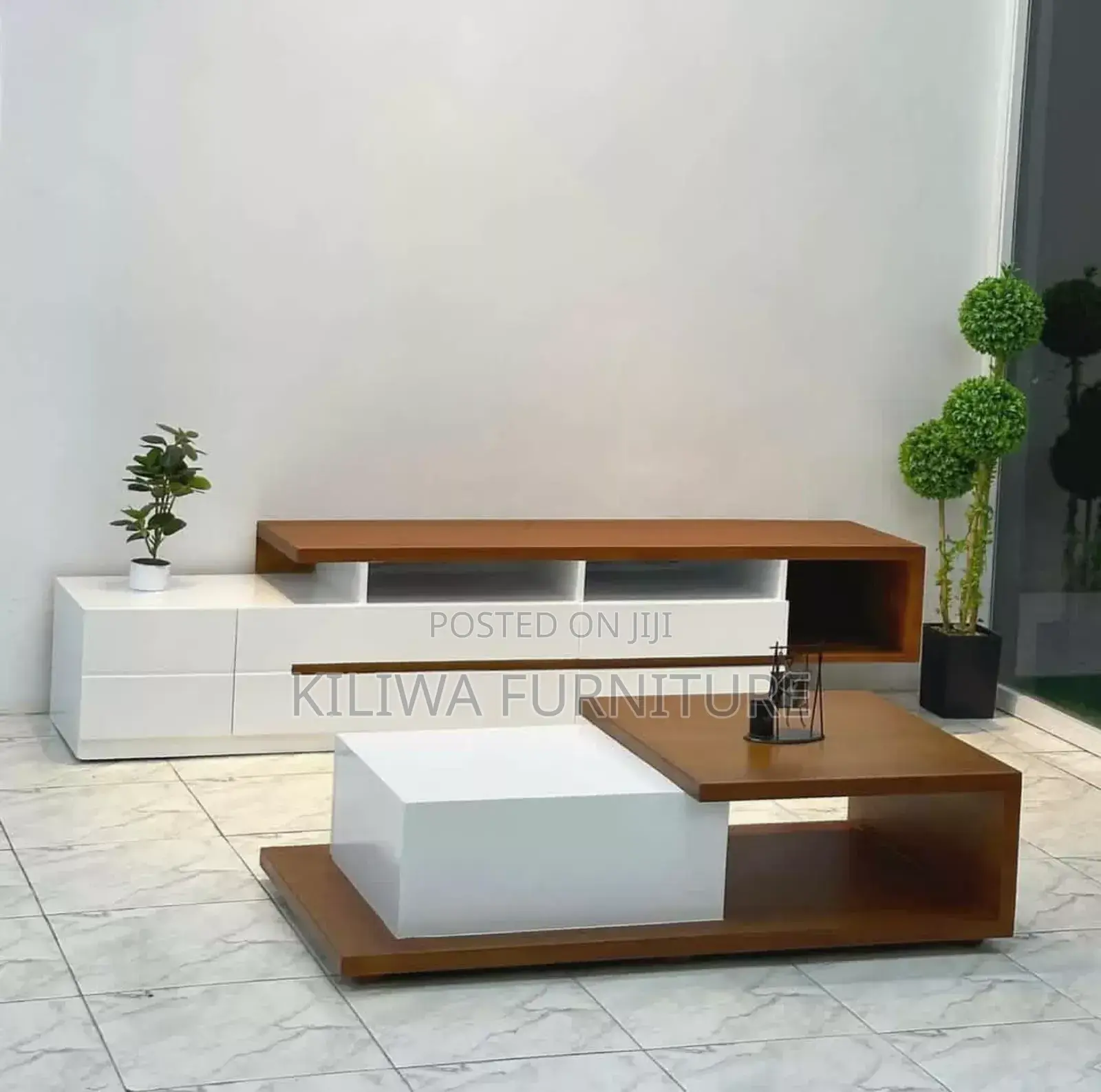Tv Showcase and Coffee Table