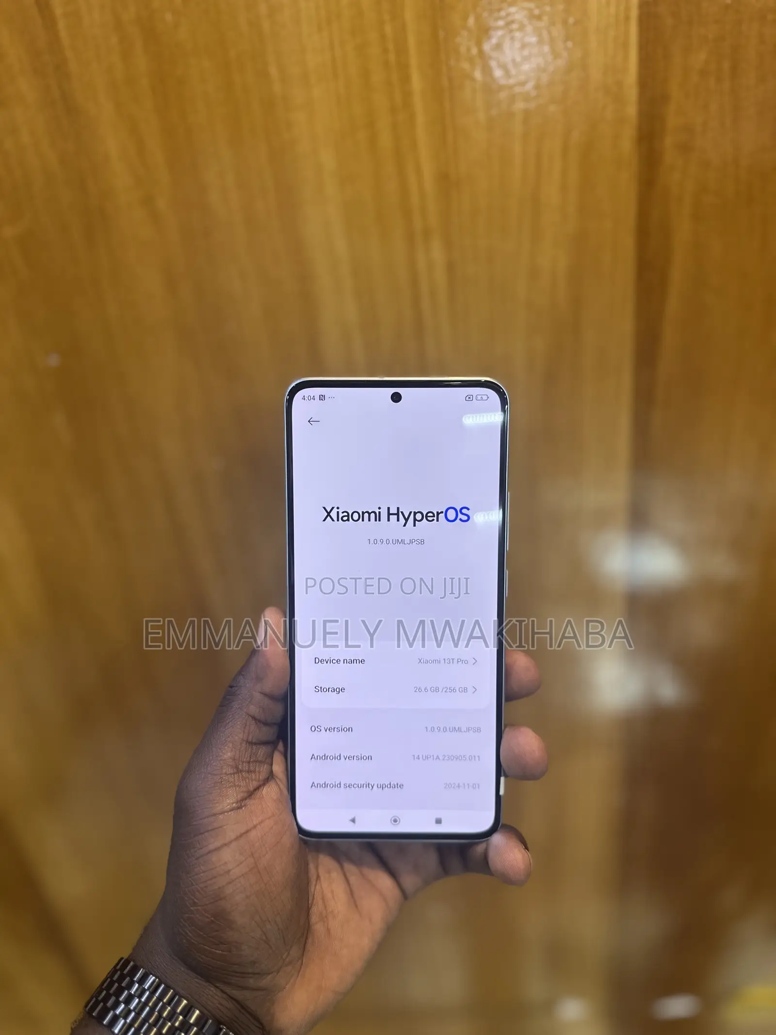 Xiaomi 13T Pro 256 GB