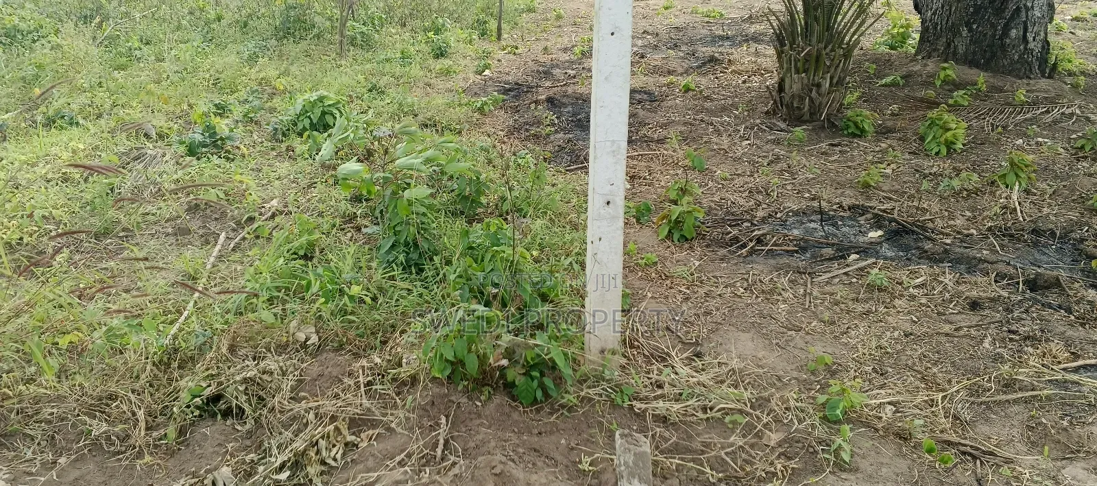 Plot for Sale in Masaki Chole Road