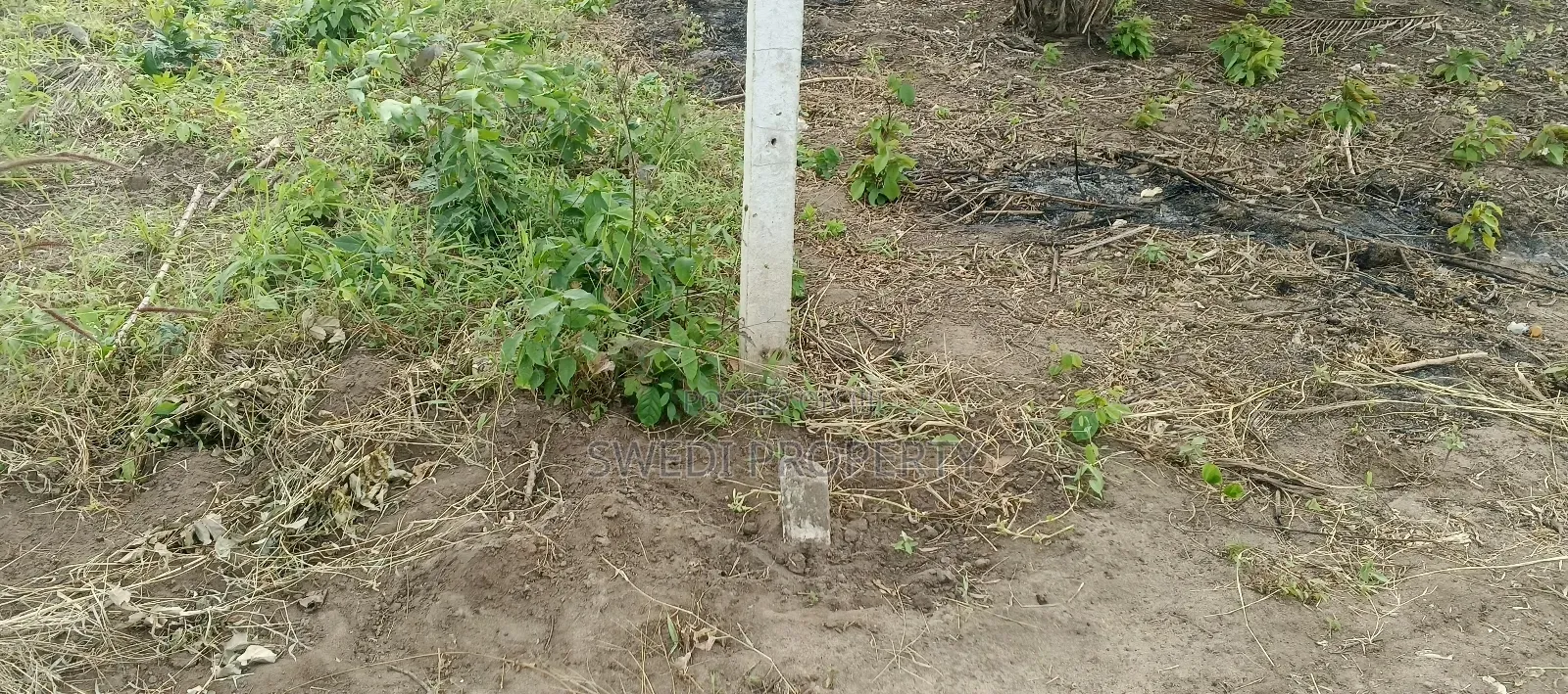 Plot for Sale in Masaki Chole Road