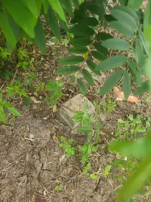 Kiwanja Kinauzwa Kinyerezi Songas