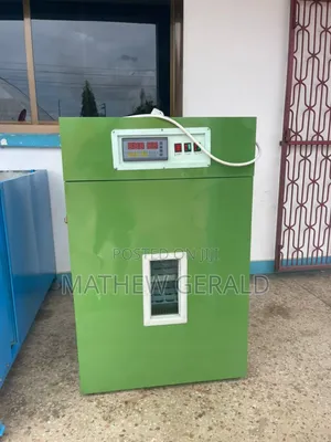 Eggs Incubator