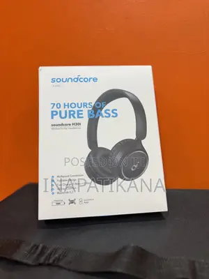 Anker H30i
