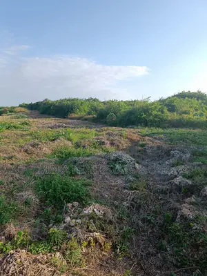 Plot for Sale Masaki Ownership