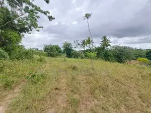 Plot for Sale Masaki Ownership