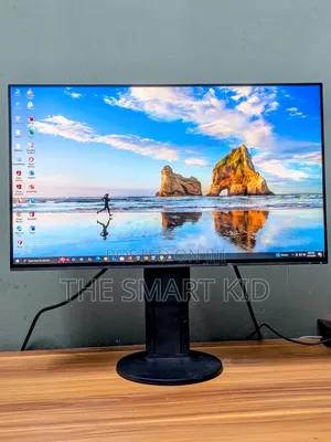 Frameless Monitors (Eizo Flexscan Ev2451) From Japan