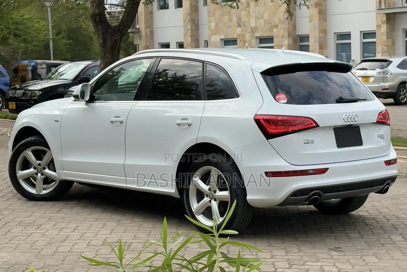 Audi Q5 2014 Pearl