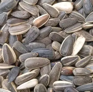 Sunflower Seeds Non Gmo
