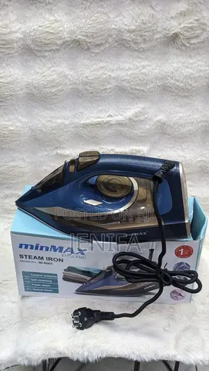 Min Max Steam Iron
