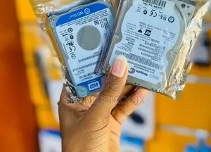 External Hard Dicks Drive