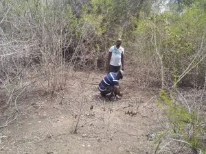 Limestone Rich Land for a Sale
