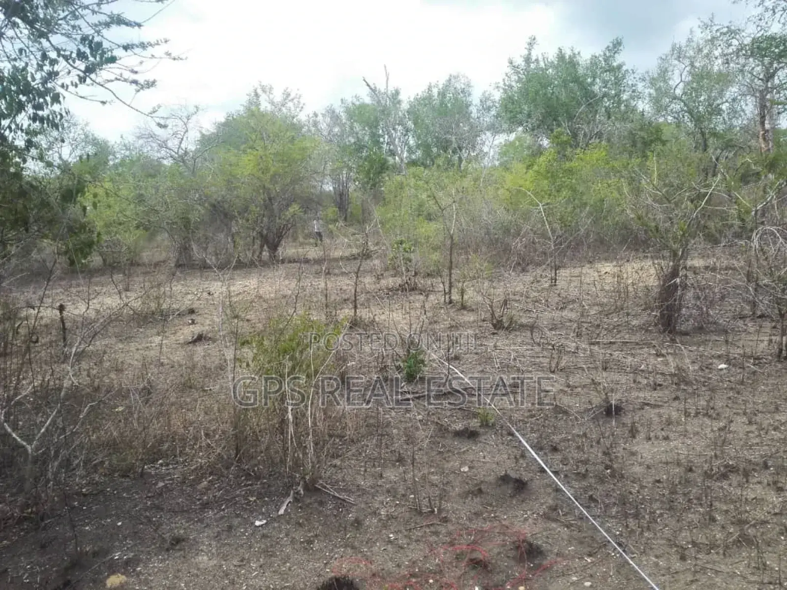 Limestone Rich Land for a Sale