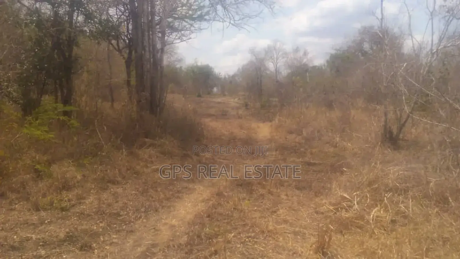 Limestone Rich Land for a Sale