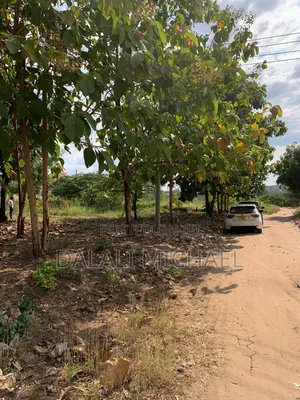 Kiwanja Kinauzwa Bunju 1500 SQMS