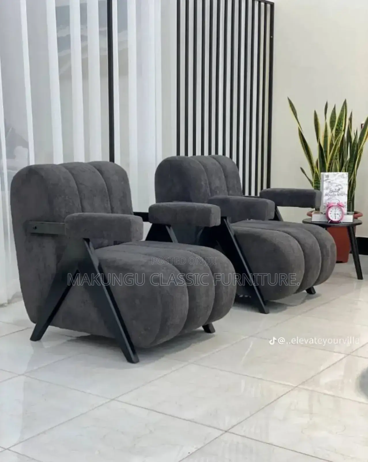 Luxurious Armchair and Huge Seat