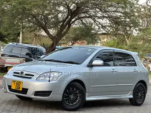 Toyota Allex 2005 Silver