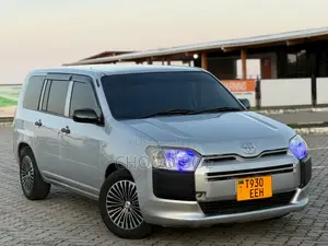 Toyota Probox 2015 Silver
