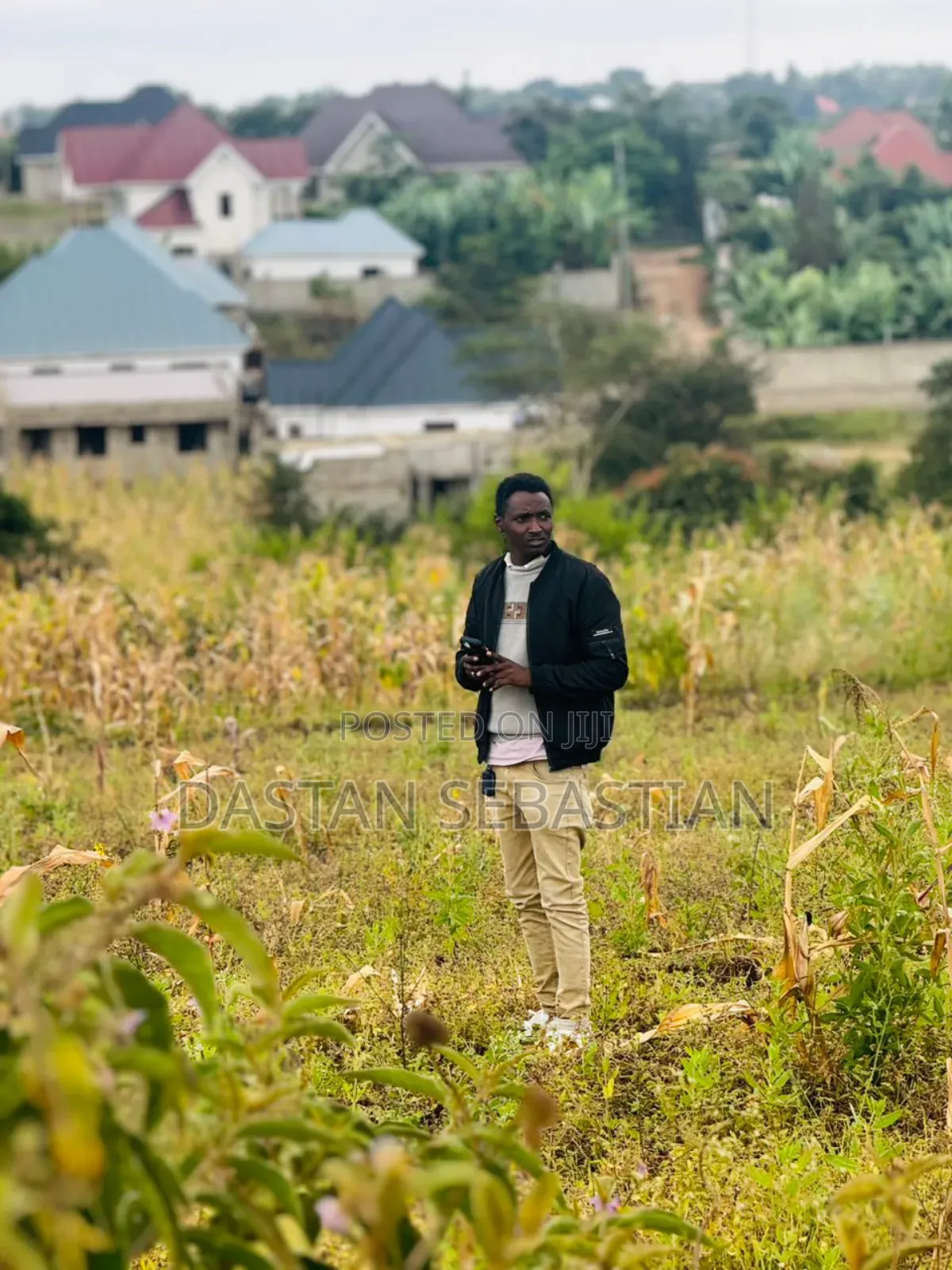 Kiseriani New Project