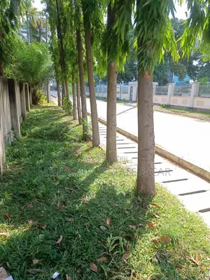 Investors, Cheap Plot for Sale in Uporoto Street, Kinondoni