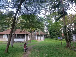 Investors, Cheap Plot for Sale in Uporoto Street, Kinondoni