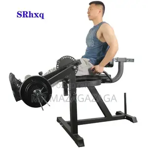 Leg Extension