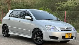 Toyota Allex 2005 Silver
