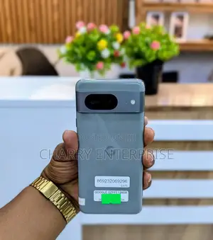 Google Pixel 8 128 GB Gray