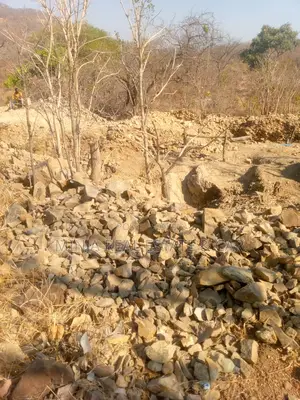 Gold Mine Site for Sale or Joint Venture in Chunya Mbeya