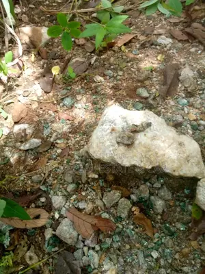 Ruby Mine Site for Sale Morogoro Matombo