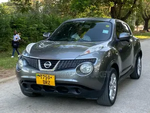 Nissan Juke 2011 Gray