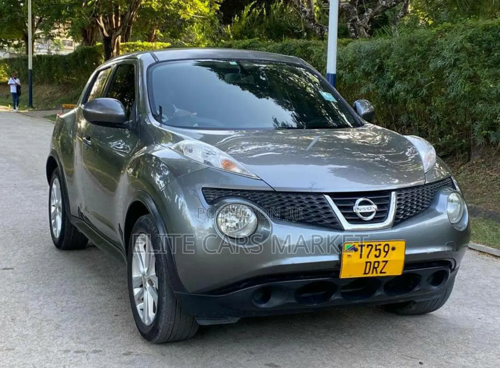 Nissan Juke 2011 Gray