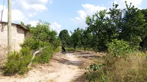 Mbezi Beach.Some Places Plot Sale