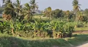 Commercial Plot Inauzwa Mbezi Luguruni