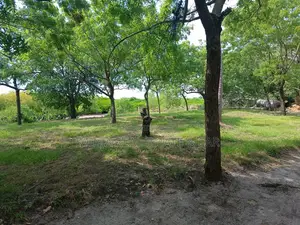 1st Line Plot From the Sea for Sale in Kunduchi