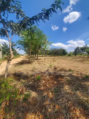 Eneo Linauzwa Madale Msigani