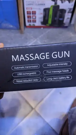 Portable Massage Gun 4 In 1