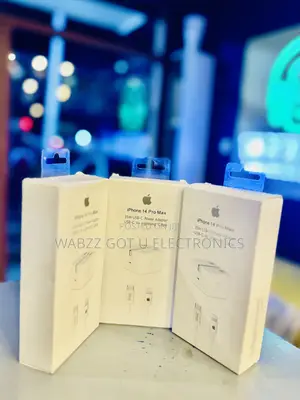Complete iPhone Charger