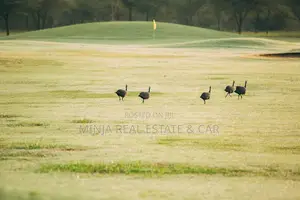 1 Acre for Sale in Kiligolf Estate in Arusha