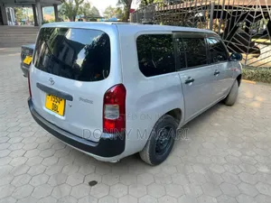 Toyota Probox 2003 Silver