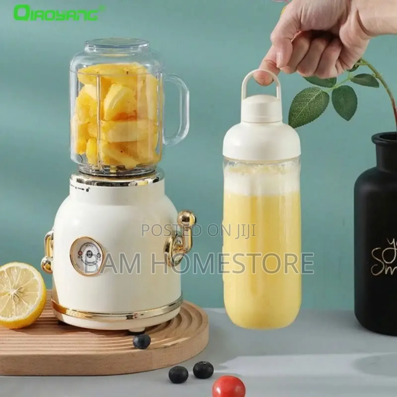 Blender /Juicer for Diet Juice and Smoothies