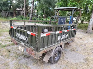Bajaj 2025 Green