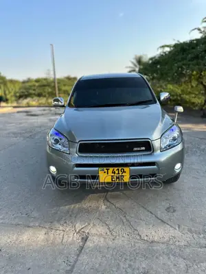 Toyota RAV4 2008 Gray