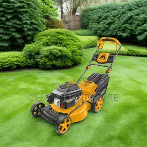 Mashine Ya Kukata Majani / Gasoline Lawn Mower