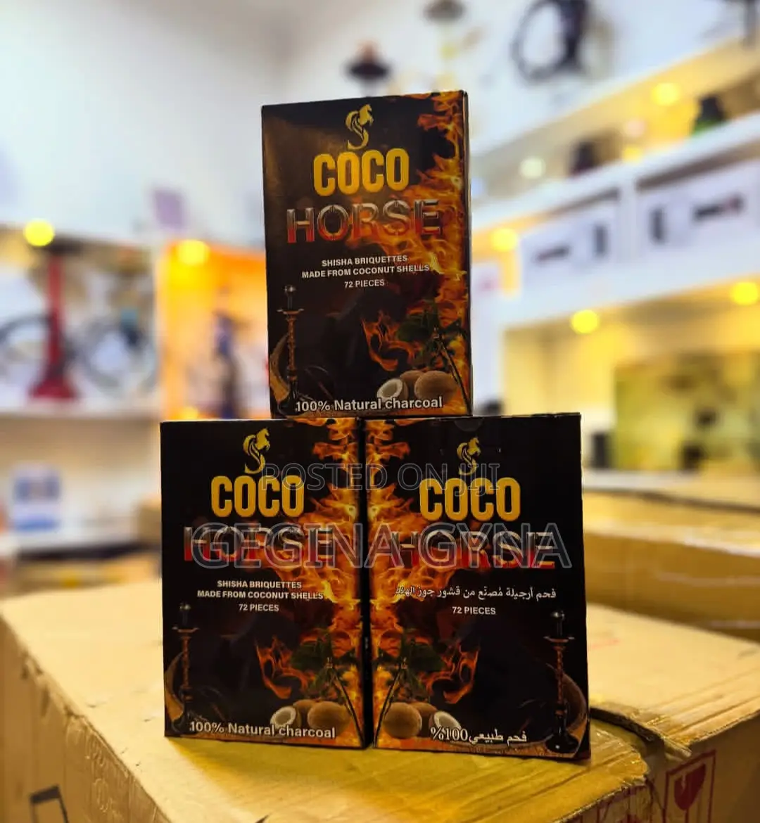 Mkaa Wa Coco Horse Available
