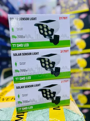 Solar Light With Motion Sensor