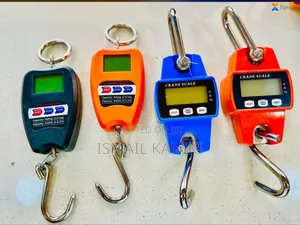 Digital Crane Scale Kg300