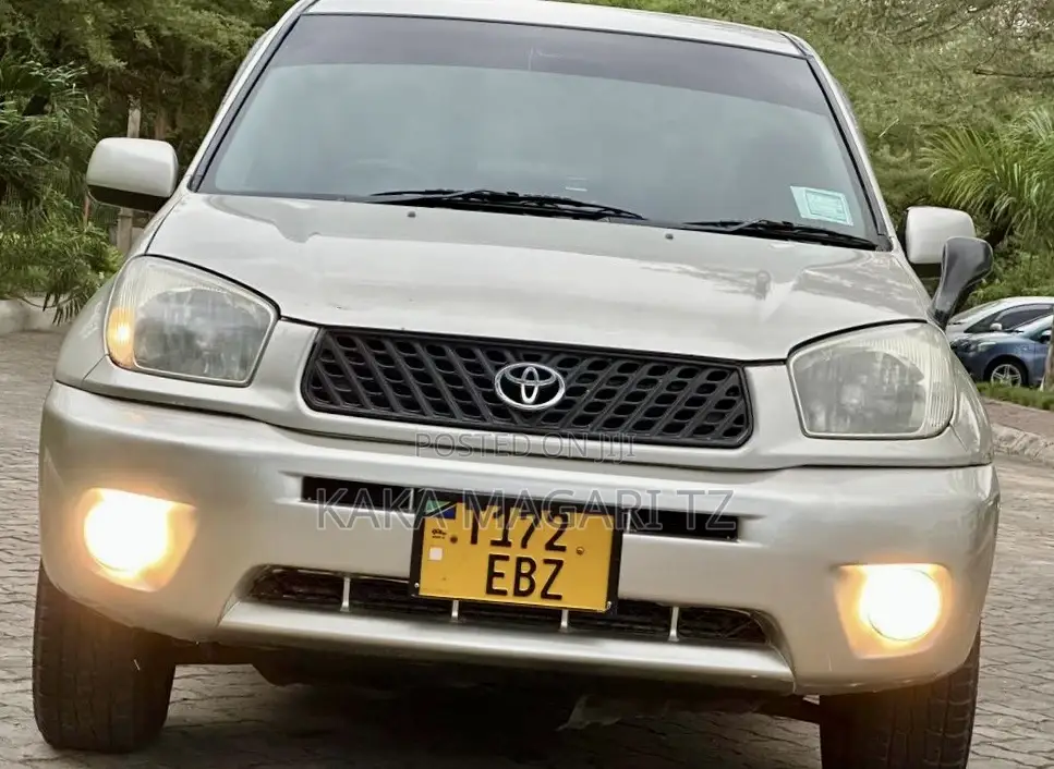 Toyota RAV4 2005 Gold
